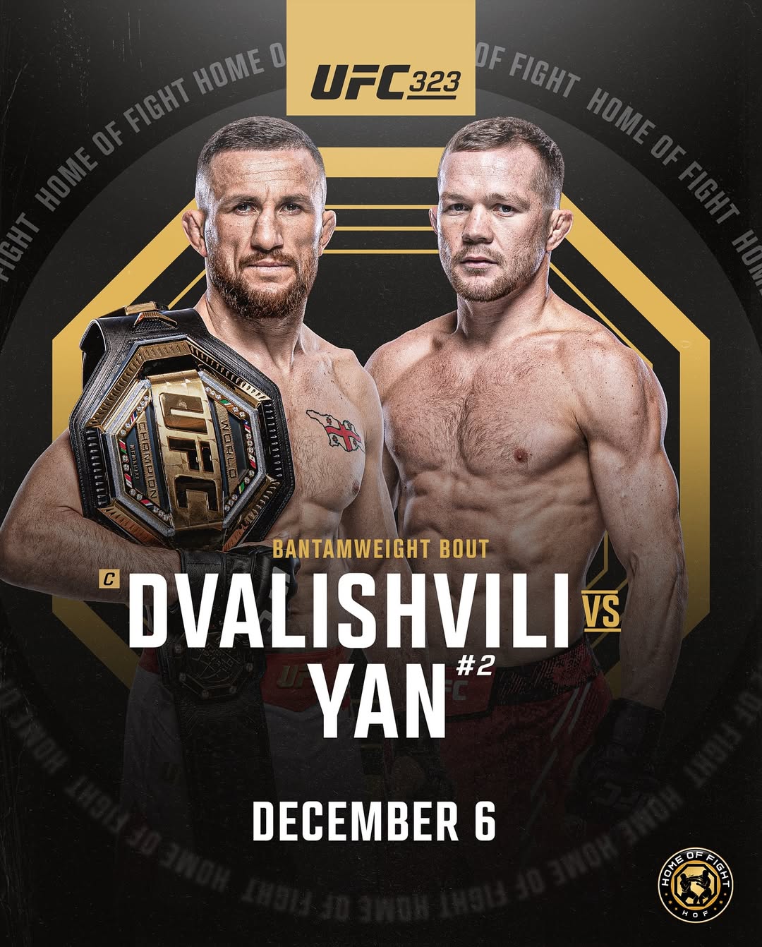 UFC 323: Dvalishvili vs. Yan 2